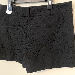 New! Loft Woman’s shorts